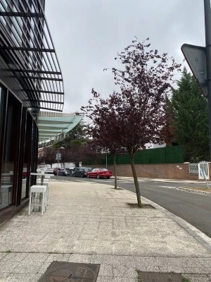 Residencia BASKONIA-ALAVES Erresidentzia