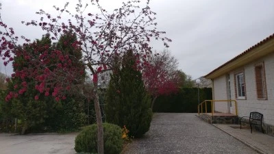 Residencia Hogar María de Molina Gestión Privada