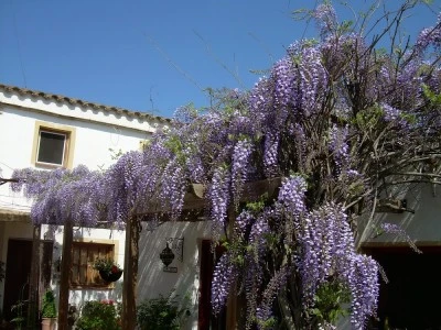 River Ebro Holidays Casa Siempre B&B