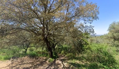 Valderranas