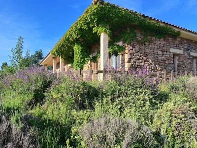 Centro Ecoturismo Barbatona-Segontia Rural, S.L