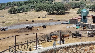 Finca Cerro Longo
