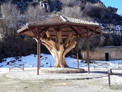 Casa Rural FINCA JUTIA