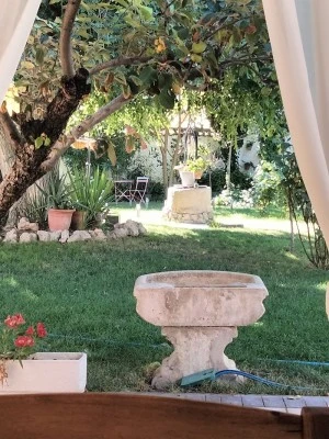 La Cija Olmedo