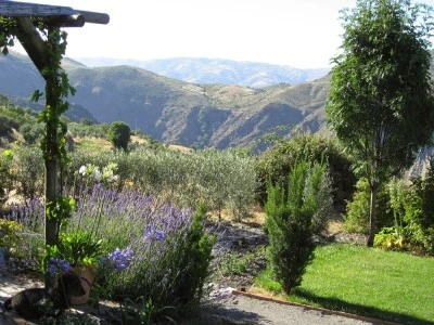 Cortijo Opazo