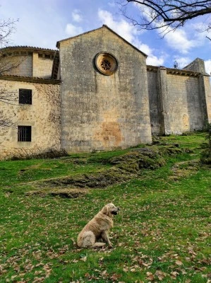 Casa rural El Nido del Mirlo