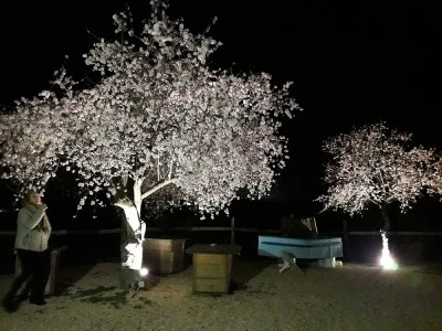 Vivienda Rural Las Viñas