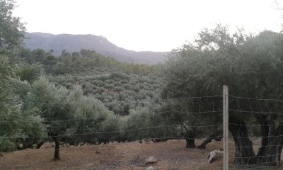 Inmobiliaria Castillo