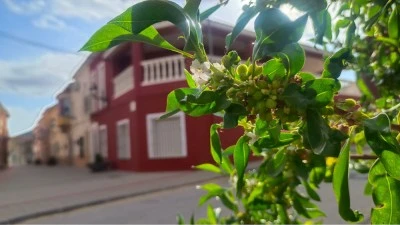 La Canalosa Alquiler vacacional grupos